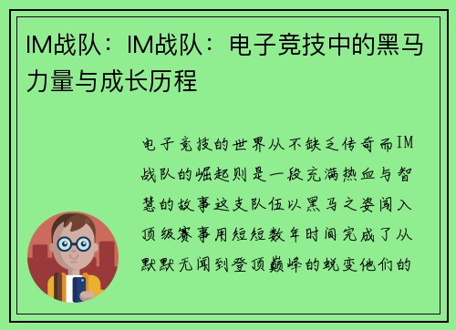 IM战队：IM战队：电子竞技中的黑马力量与成长历程